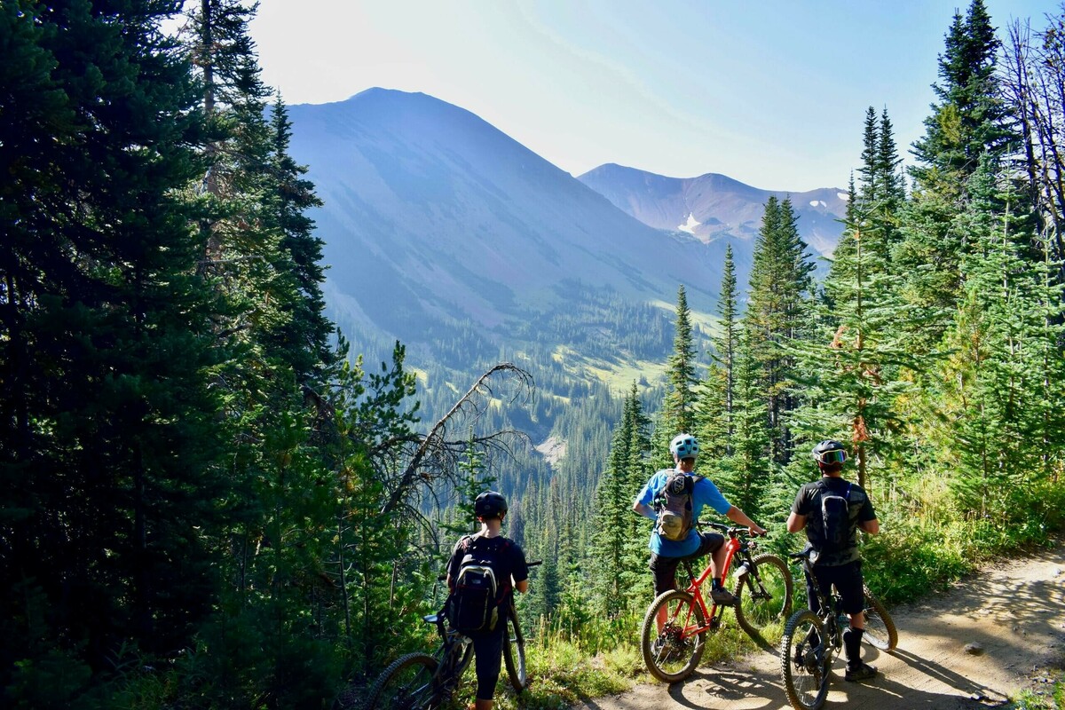 Three people mountain biking